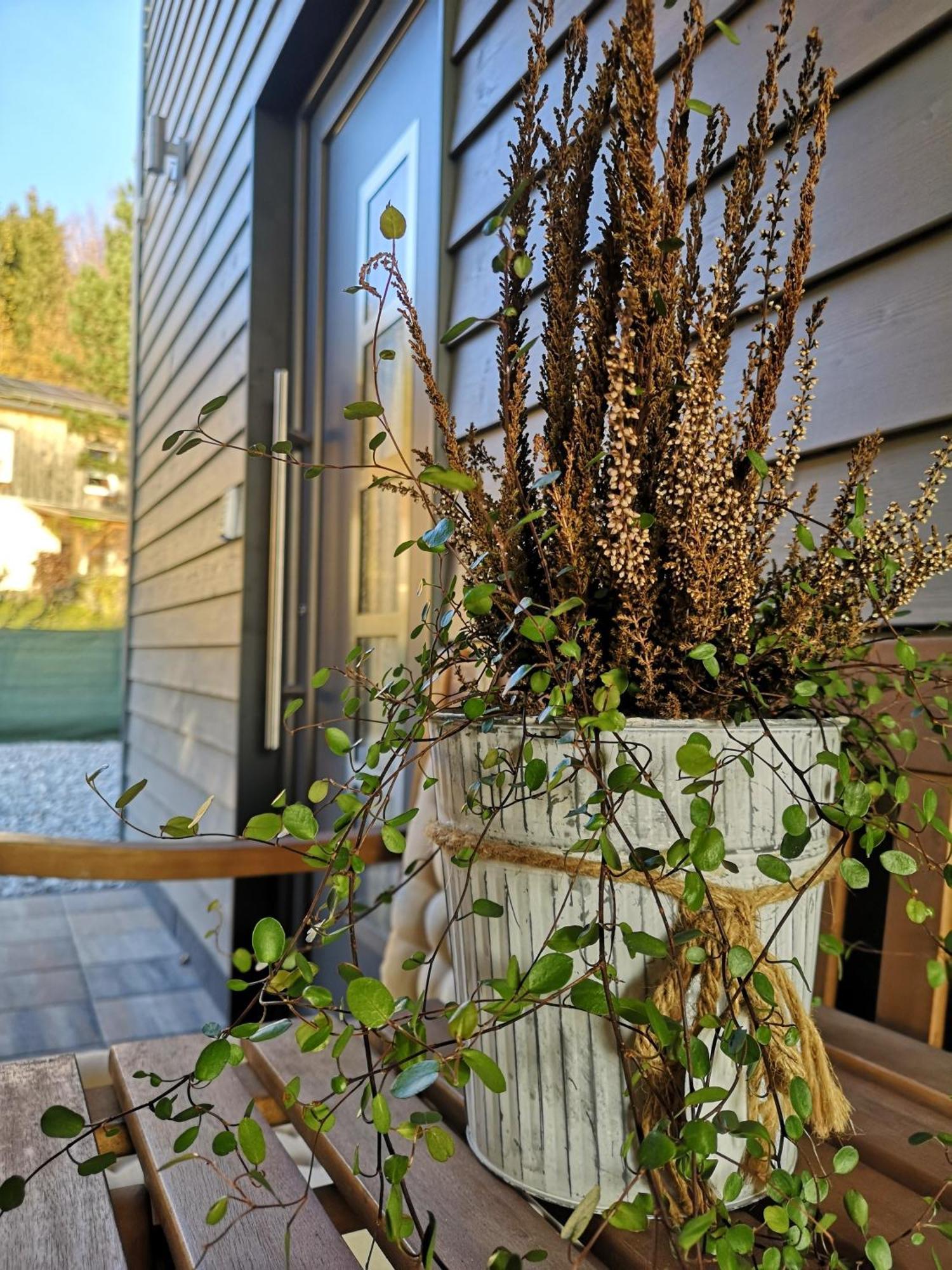 Ferienwohnung Am Roten Berg パイティンク エクステリア 写真